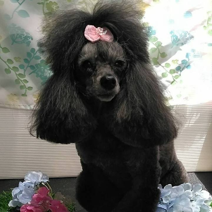 6bcadf3c e74f 4d9a b667 4cec9b87296b 1750479319433