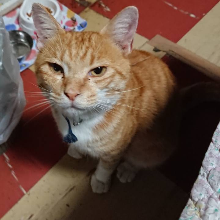 6bcaeb01 3b0a 4cad b618 e1ccc1071ced 1565295639222