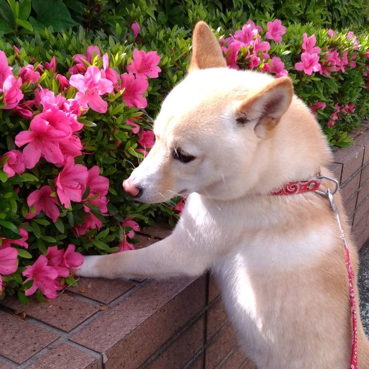 6bcaf99e 9cfe 4bf3 afa9 ccab1247cef3 1525938652334