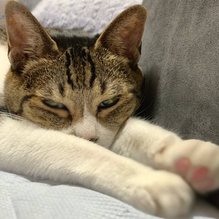 6bcb166b c0a0 4c51 9910 9403d0069c15 1568595922646