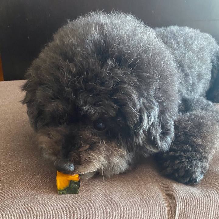 6bcb1f18 3b1e 4406 9719 b1d4e2bf40e3 1633134324856