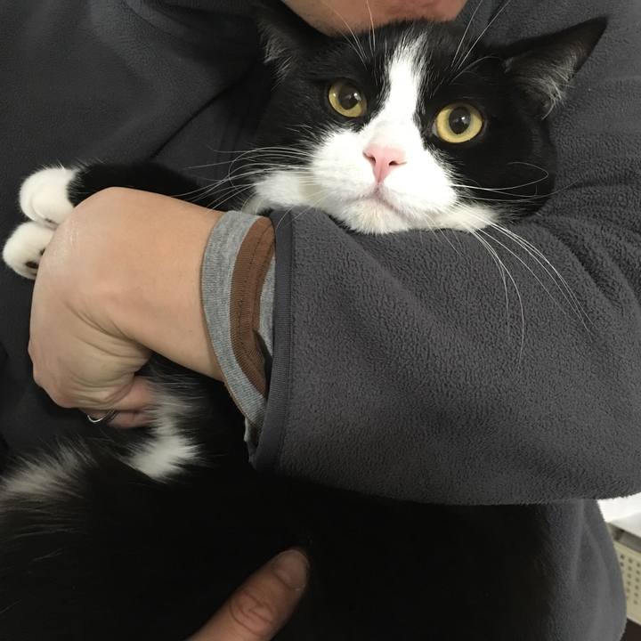 6bcb3ac1 e021 40b7 b1be 8fb91e8b45f0 1552307751926