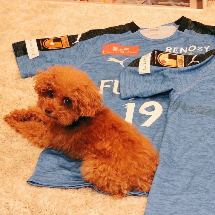 6bcb441e a737 4737 a185 c4de52a858df 1550885052652