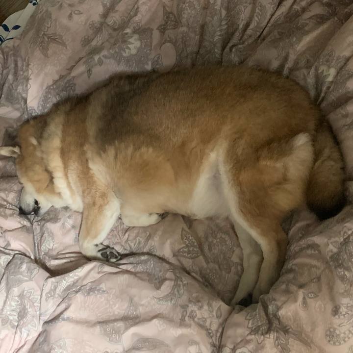 6bcb48ff 48e4 4c20 aee2 214680bb445e 1613828401295