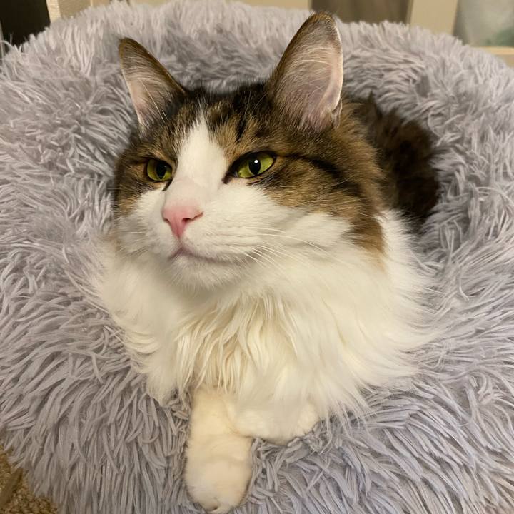 6bcb6225 9240 4a86 8288 51788b0ea23c 1669934534715