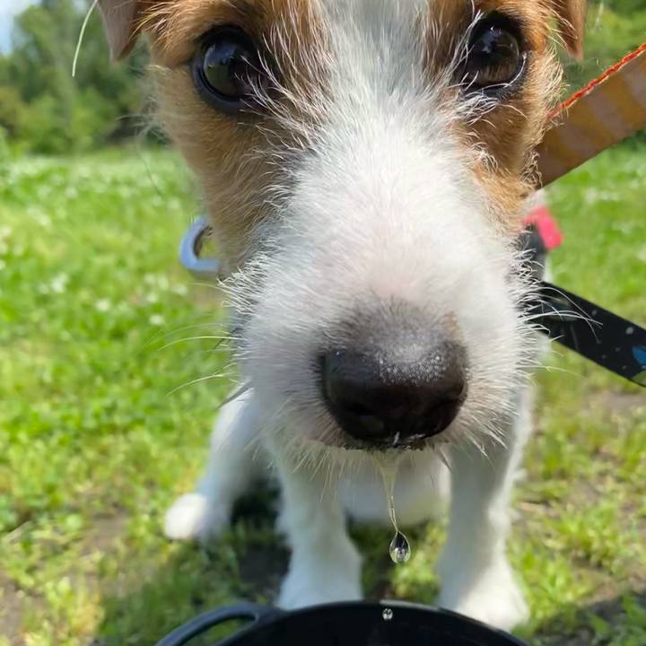 6bcb888e 7402 4399 bfdf 3bae3de223f5 1621751966299