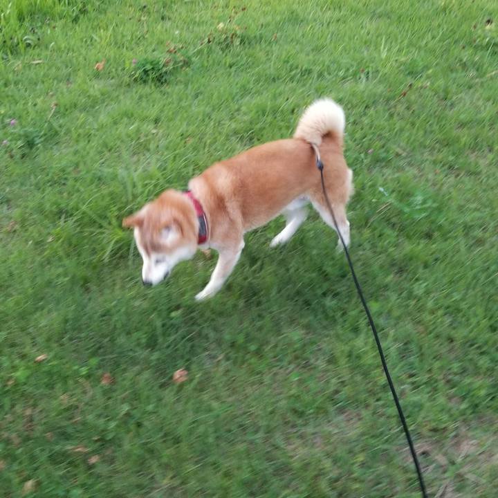 6bcbb1a2 c3d6 4a0c a142 ba34ba13ebd4 1755943931259