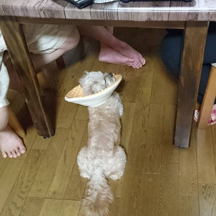 6bcbdf02 5a17 4433 a639 8a04f0f861c4 1561986512805