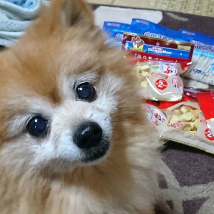 6bcbf9a7 e4c2 4efe bdda 28d856e7b6f4 1558874779249