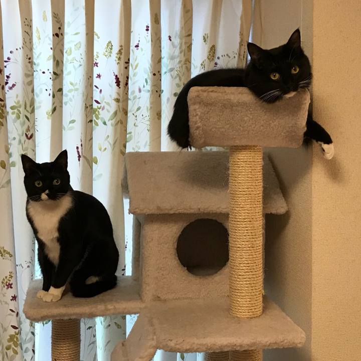 6bcbf9f2 19aa 461c 8181 2299d997703d 1514244916659