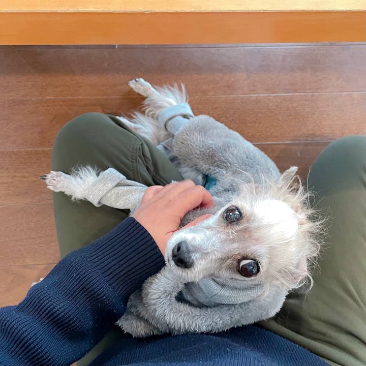 6bcc559c 6748 4100 a5b6 55d155836d14 1766047782025