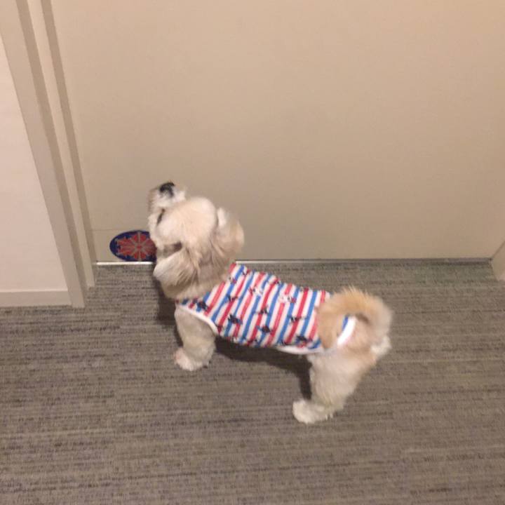 6bcca7f3 977b 48e5 a9ef 30878c4e10f8 1540105433968