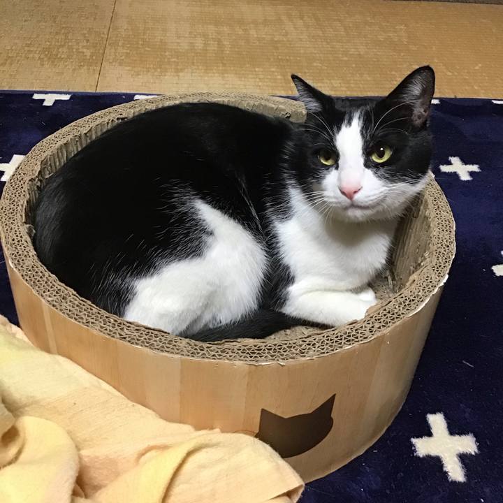 6bcccb61 69b4 4ae3 9058 e2003163f2a7 1736418945017