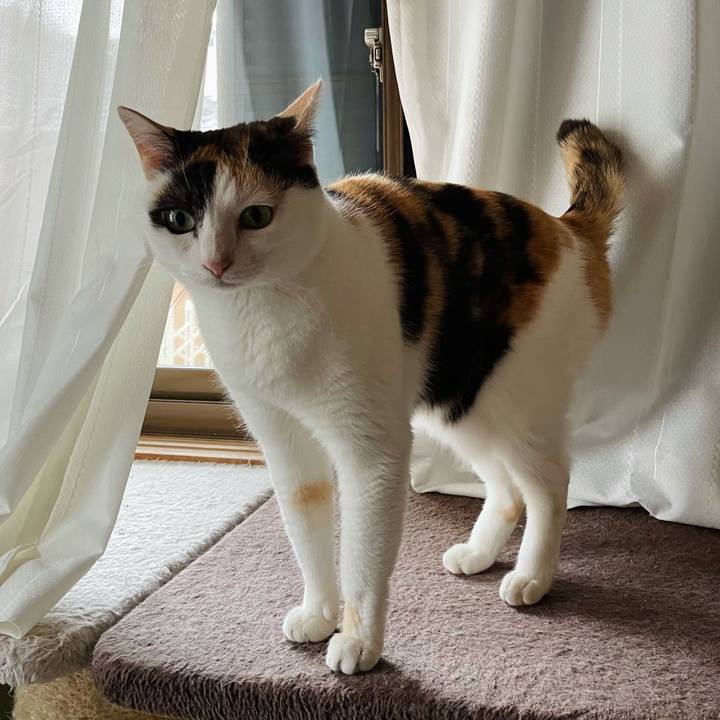 6bccf3c5 2dfc 461b 8867 dbcd52036878 1621136063539