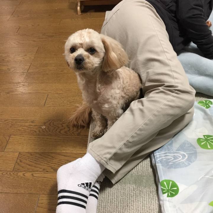 6bccf6bb 0b75 49e8 ad43 8e55d4f79685 1524995280018