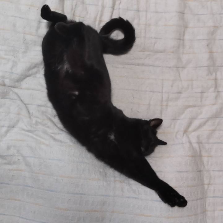 6bcd092c f6a4 463e a79e 11da6baeb6e8 1623887055356