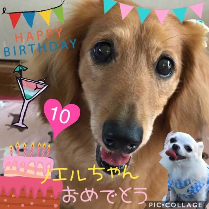 6bcd1752 18b9 4424 9e87 e318ff3584fc 1535516936136