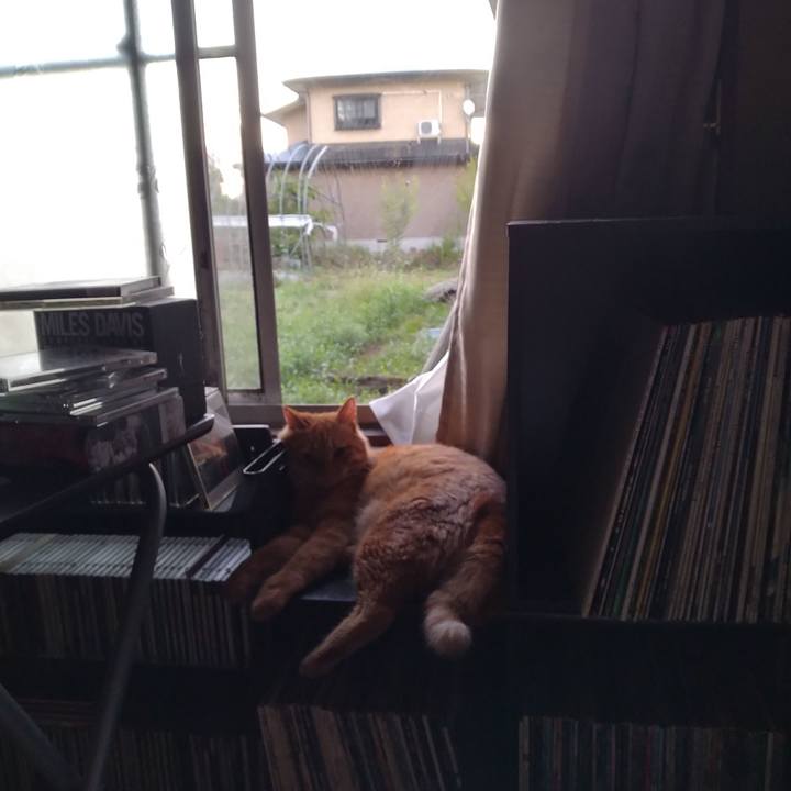 6bcd3136 265b 446c 906b 819d7cadd712 1692828611699