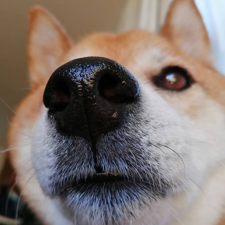 6bcd9be3 c0f7 441a a7a1 150af7028562 1657440702628