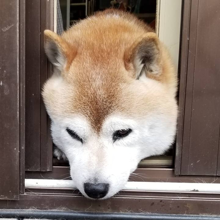 6bcde221 2bcb 458d 8e84 3c633486c3e0 1680735107088