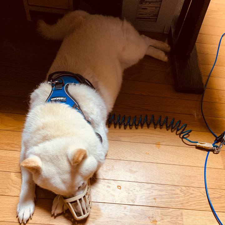 6bcdf73c 9257 4032 a68e e71383d143cd 1633041252886