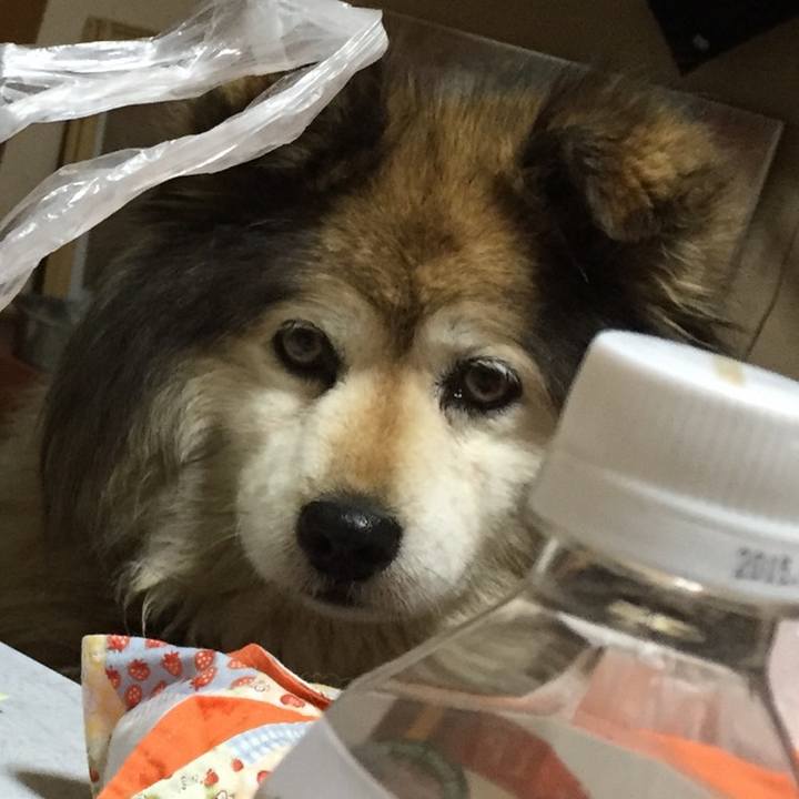 6bcdf911 a828 44b8 9348 135c85e91a29 1586482299637