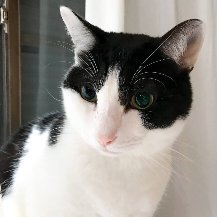 6bce1c21 1600 4518 ab58 10a3d59a197c 1521901794546