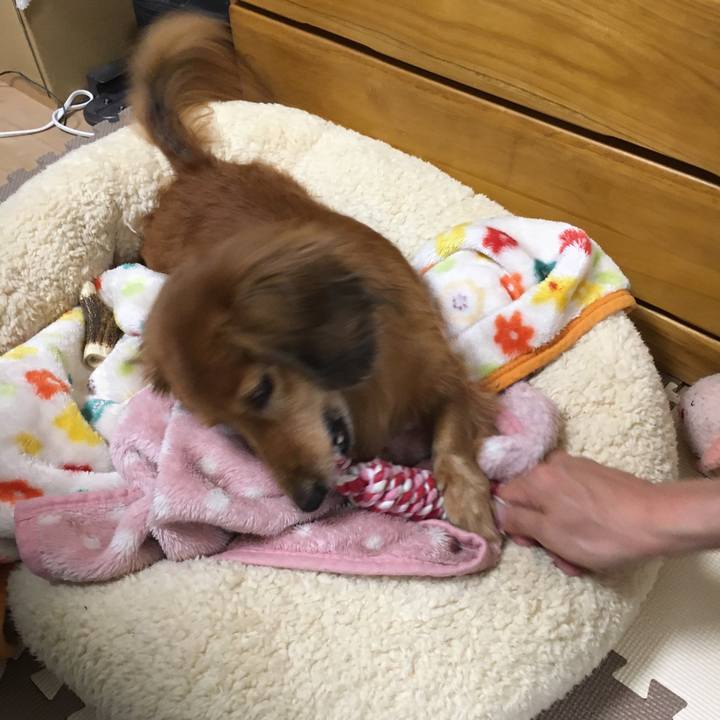 6bce1de8 a76d 4189 aefe 04e8950964c9 1545315289608