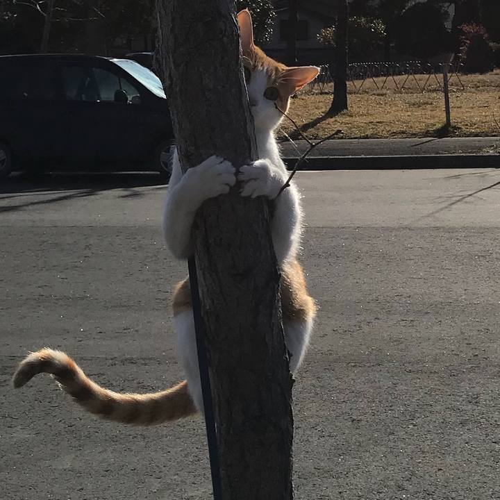 6bce3e20 4326 4a5f b614 44330dc6fe49 1514861300383