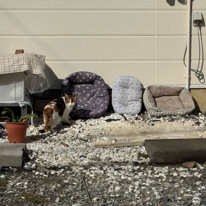 6bce4dee 1279 4cf5 b7f1 ad0ae0f2b352 1762224181190