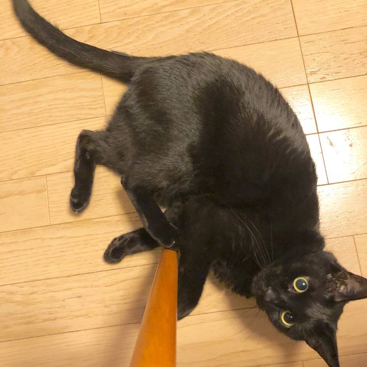 6bce74c4 7e63 4904 a031 4d9d1a310e83 1578486255694