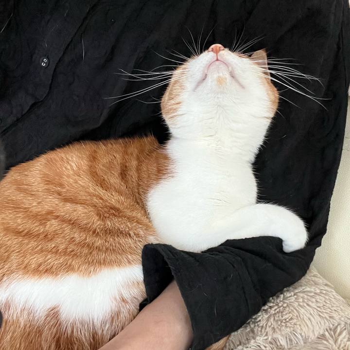 6bce78f3 3733 4914 87a3 c4c755e2e41a 1671518267525