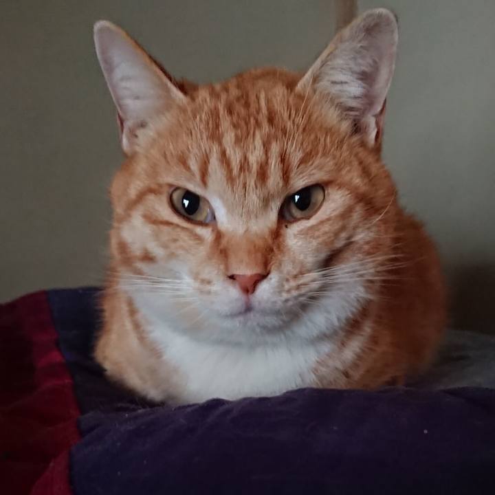 6bcf084b 67f9 4004 9621 c5c44e1c1ba4 1583445989179