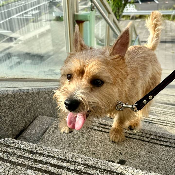 6bcf2987 56e7 4fba 8021 4beb3688d609 1725198152355