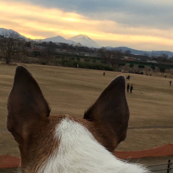 6bcf3167 5cd6 4653 8117 b927c32800d7 1610407746371