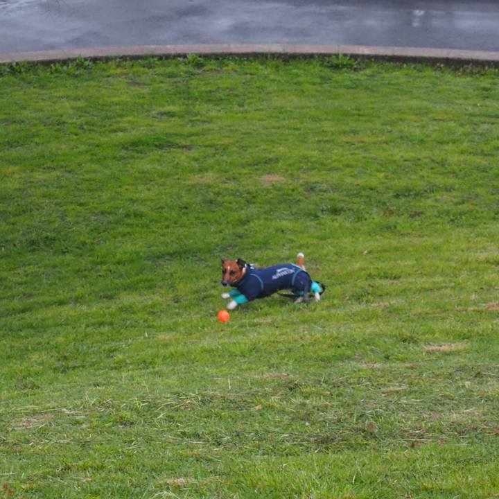 6bcf3369 8316 4e4b b0cf 6c5d94e15763 1509242837685