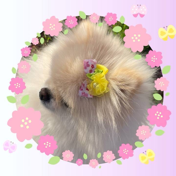 6bcf34fb fce9 4468 8006 c443c1b5b3c5 1741908005534