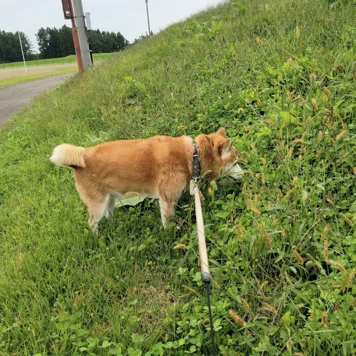 6bcf4264 548e 4c87 b02c da8933f0bf7e 1665637865539