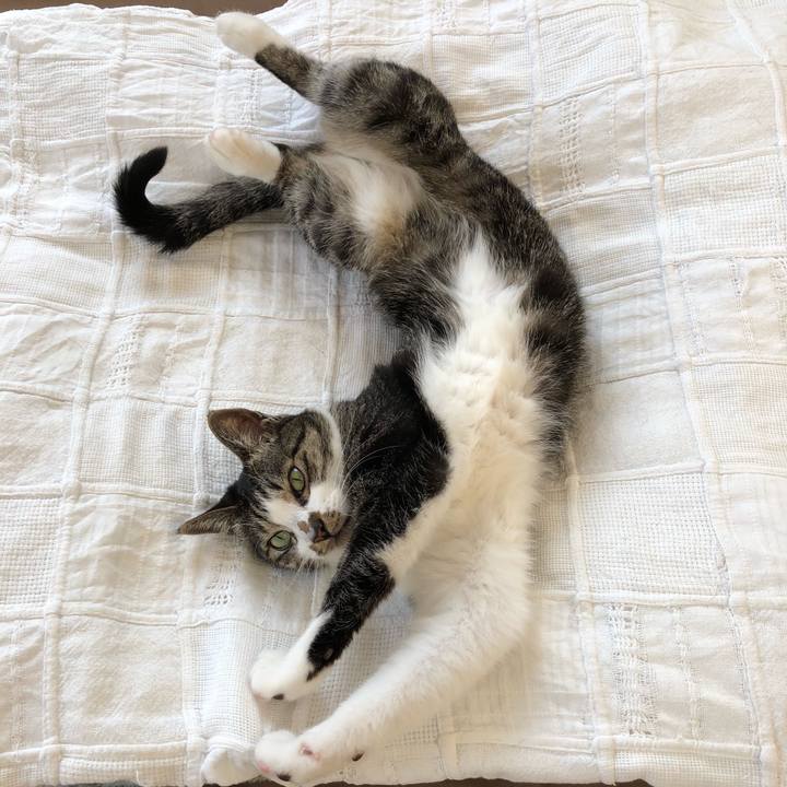 6bcf7347 0fa9 41c4 afdb 482cfcfcb8b4 1526360099576