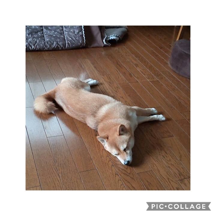 6bcf7681 eec7 4147 af3c aa8578a7b7e9 1667265892502