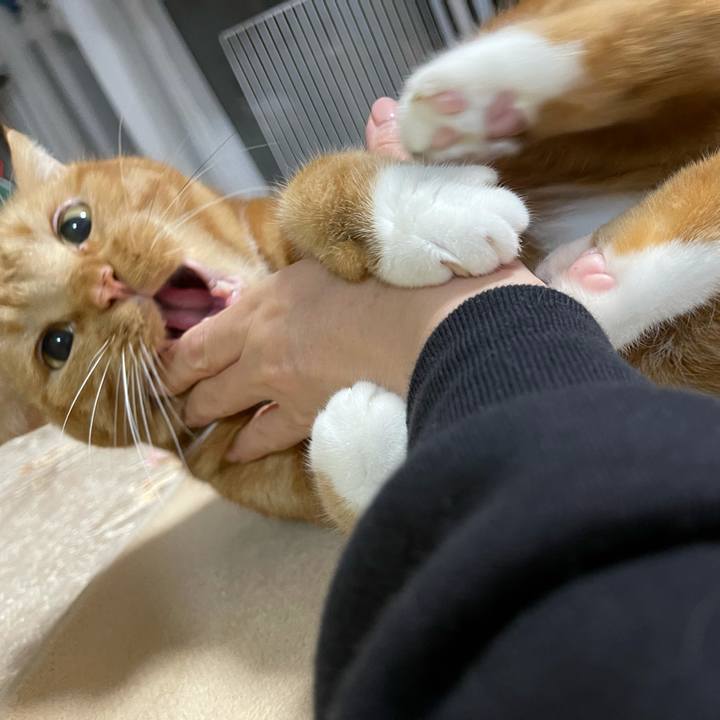 6bcf9b28 b24d 4dd5 b03f 344354cb702d 1638187834016