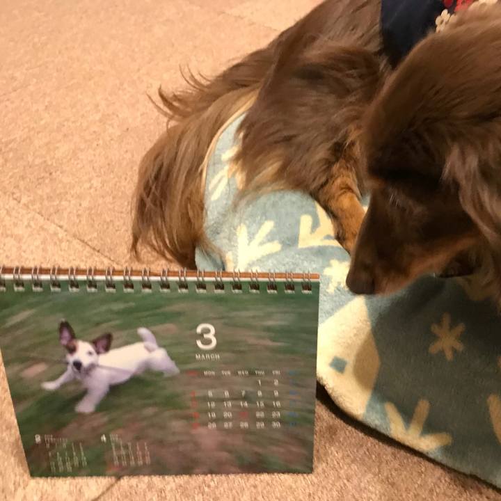 6bcfca0c cd89 4f8b 9a00 efe439e9cabc 1521629314776