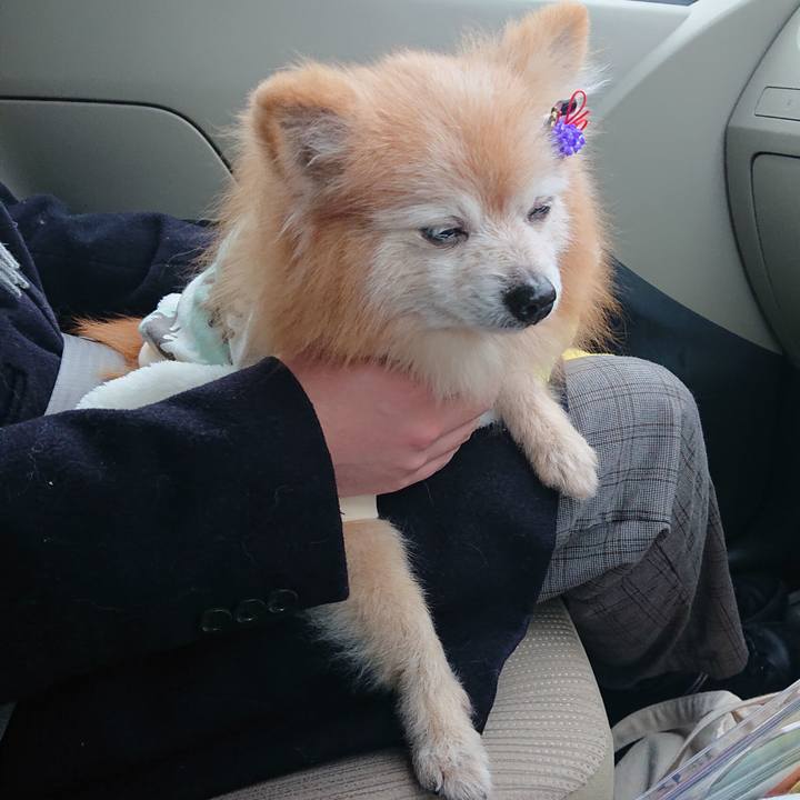 6bd01f03 6820 4dc6 a858 266fd06430d1 1640847909349