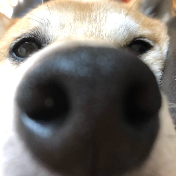 6bd04f59 292e 4641 b481 0369b71ece0b 1557756437916