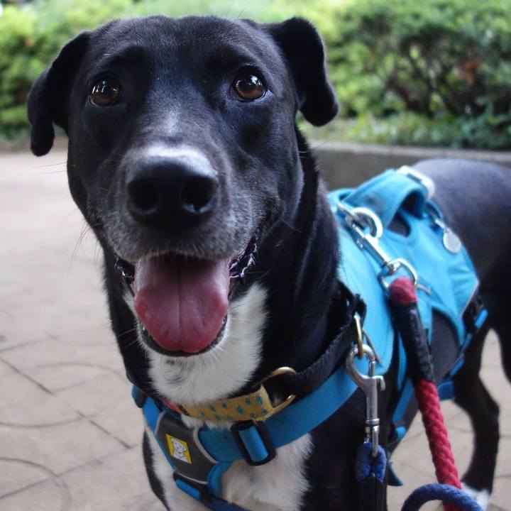 6bd04fa0 c86d 4e4a 834c 142b98f9a93e 1622201357654