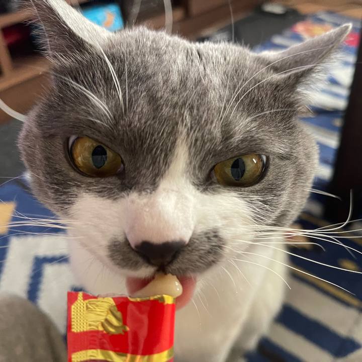 6bd05451 74c8 4901 a247 c16de2d721af 1648623265071