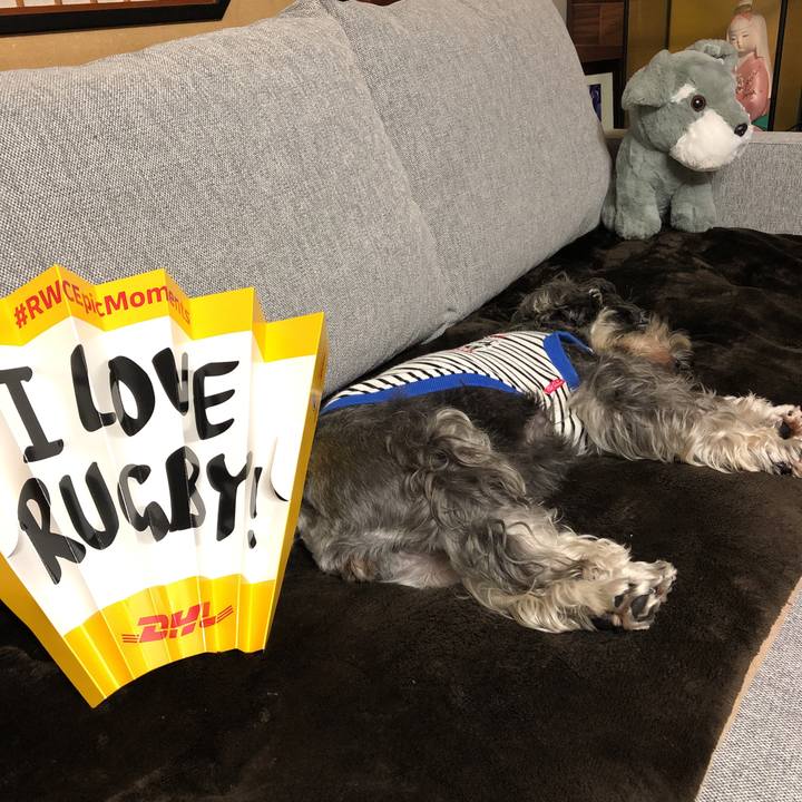 6bd0a309 4c67 4916 9cb7 4aae02b67087 1571487894096