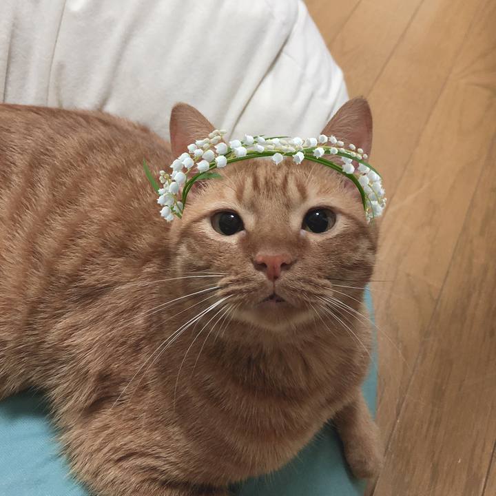 6bd0a90a d938 4d89 bb31 7c3c19b4a7be 1562762673179