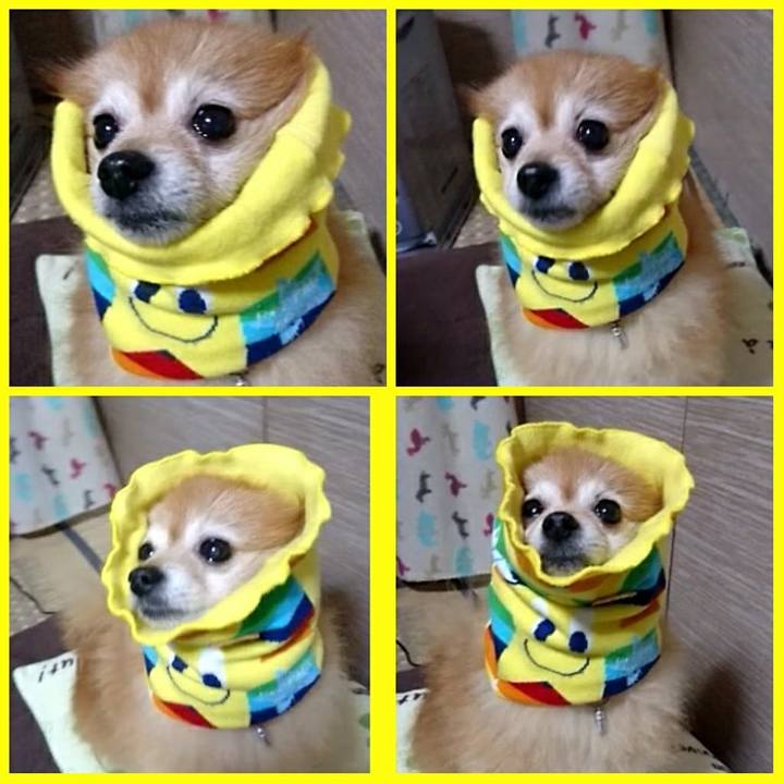 6bd0d20d 6ebb 4df2 be44 d9376c339363 1510795449687