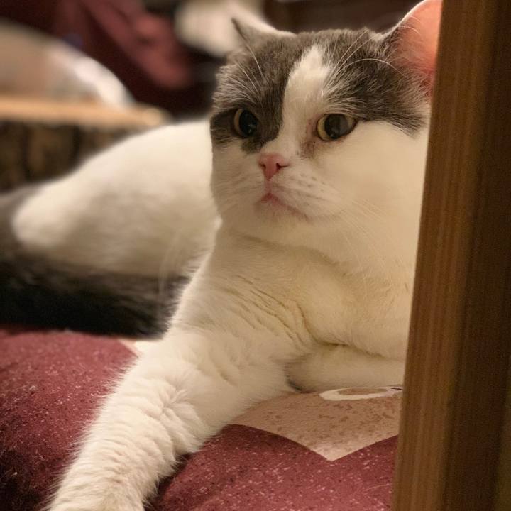 6bd1057e 8738 4d25 8f8e 605ac6eb096c 1540464004741